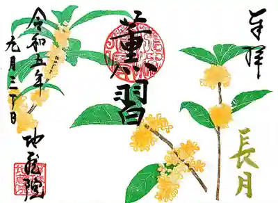 こちらは金木犀。
金木犀と言えば「君のひとみは10000ボルト」を思い出します。
「金木犀の咲く道を〜🎶」