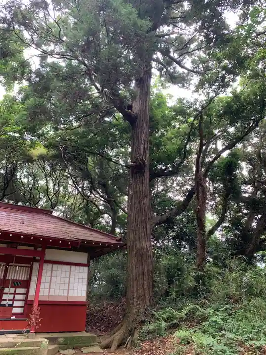 星神社(千葉県)