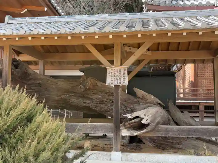 福祥寺(須磨寺)(兵庫県)