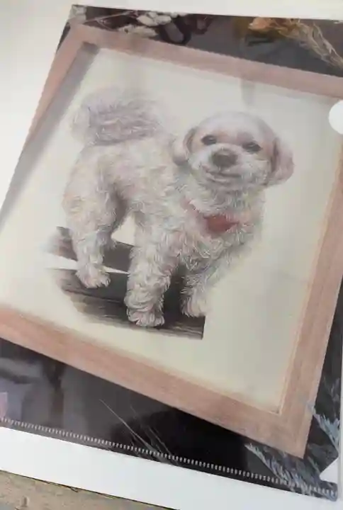 本昌寺(京都府)