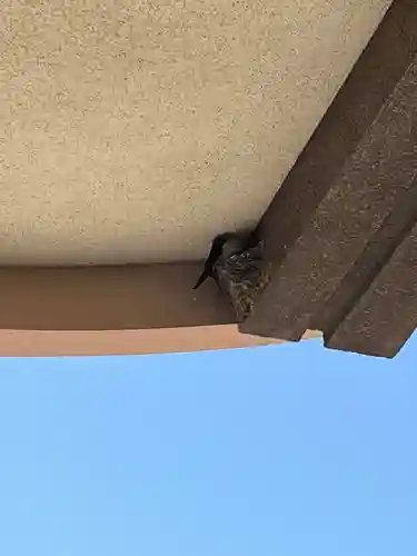 防府天満宮(山口県)