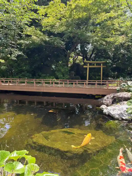 愛宕神社の{uncategorized: "未分類", other: "その他", undefined: "問題あり", building: "その他建物", grave: "お墓", sacred_gate: "鳥居", guardian: "狛犬", statue: "像", buddha: "仏像", history: "歴史", nature: "自然", garden: "庭園", animal: "動物", pagoda: "塔", temizu: "手水舎", mountain_gate: "山門・神門", sanctuary: "本殿・本堂", subordinate: "末社・摂社", art: "芸術", scenery: "景色", jizo: "地蔵", ema: "絵馬", goshuin: "御朱印", omikuji: "おみくじ", items: "授与品その他", amulet: "お守り", goshuincho: "御朱印帳", eats: "食事", festival: "お祭り", votive_dance: "神楽", shichigosan: "七五三参", wedding: "結婚式", experience: "体験その他", initially: "初詣", around: "周辺", anti_infection: "感染症対策"}
