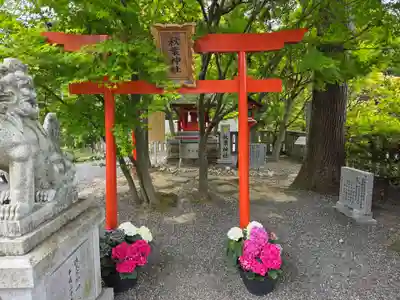 琴崎八幡宮(山口県)