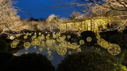 東寺（教王護国寺）(京都府)