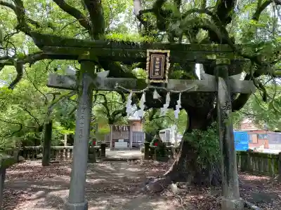 原神社(高知県)