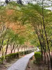 武雄神社の建物その他