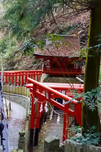 狸谷山不動院の鳥居