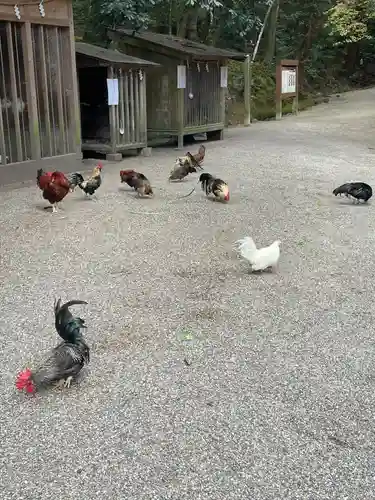 石上神宮(奈良県)