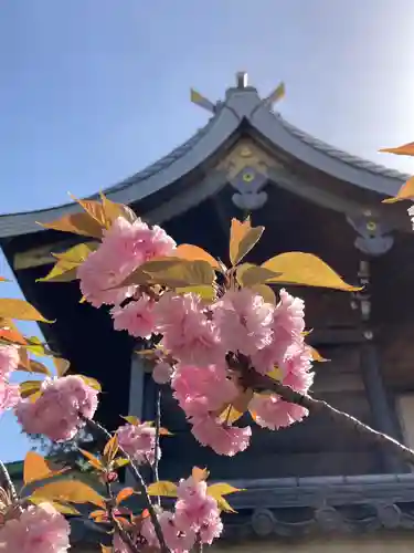 住吉神社の本殿・本堂