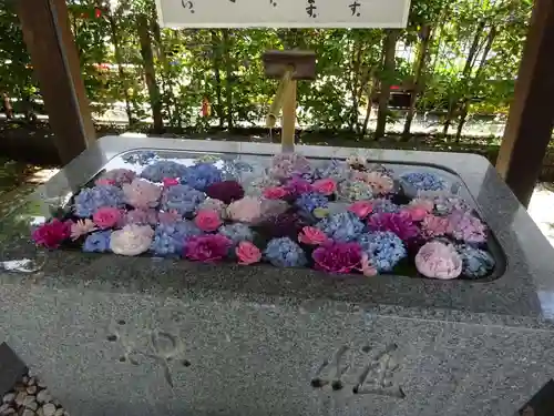 桜神宮の手水舎