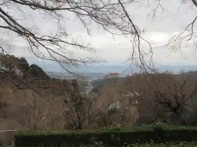 善峯寺(京都府)