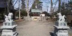 旭川神社の狛犬