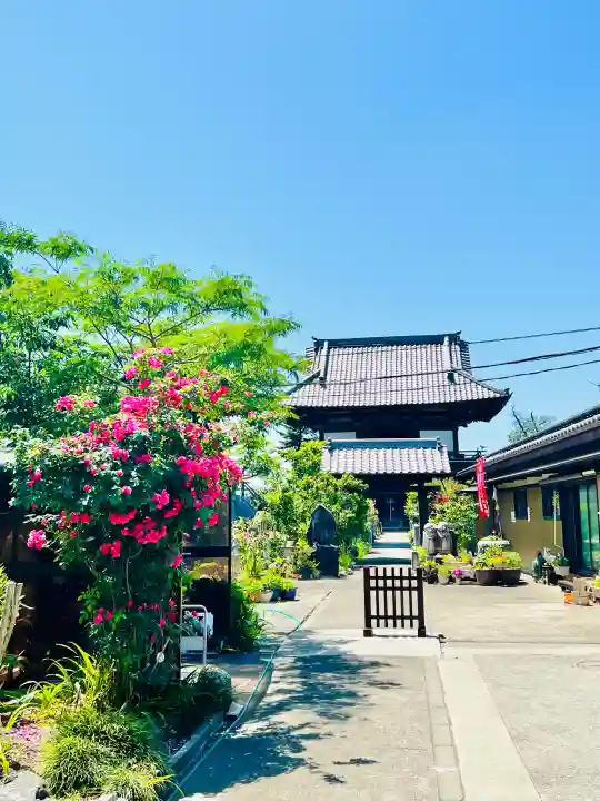 観音寺の{uncategorized: "未分類", other: "その他", undefined: "問題あり", building: "その他建物", grave: "お墓", sacred_gate: "鳥居", guardian: "狛犬", statue: "像", buddha: "仏像", history: "歴史", nature: "自然", garden: "庭園", animal: "動物", pagoda: "塔", temizu: "手水舎", mountain_gate: "山門・神門", sanctuary: "本殿・本堂", subordinate: "末社・摂社", art: "芸術", scenery: "景色", jizo: "地蔵", ema: "絵馬", goshuin: "御朱印", omikuji: "おみくじ", items: "授与品その他", amulet: "お守り", goshuincho: "御朱印帳", eats: "食事", festival: "お祭り", votive_dance: "神楽", shichigosan: "七五三参", wedding: "結婚式", experience: "体験その他", initially: "初詣", around: "周辺", anti_infection: "感染症対策"}