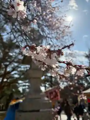 竹駒神社の{uncategorized: "未分類", other: "その他", undefined: "問題あり", building: "その他建物", grave: "お墓", sacred_gate: "鳥居", guardian: "狛犬", statue: "像", buddha: "仏像", history: "歴史", nature: "自然", garden: "庭園", animal: "動物", pagoda: "塔", temizu: "手水舎", mountain_gate: "山門・神門", sanctuary: "本殿・本堂", subordinate: "末社・摂社", art: "芸術", scenery: "景色", jizo: "地蔵", ema: "絵馬", goshuin: "御朱印", omikuji: "おみくじ", items: "授与品その他", amulet: "お守り", goshuincho: "御朱印帳", eats: "食事", festival: "お祭り", votive_dance: "神楽", shichigosan: "七五三参", wedding: "結婚式", experience: "体験その他", initially: "初詣", around: "周辺", anti_infection: "感染症対策"}