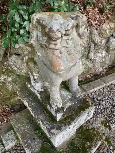 将軍神社の狛犬