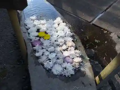 龍興寺(栃木県)