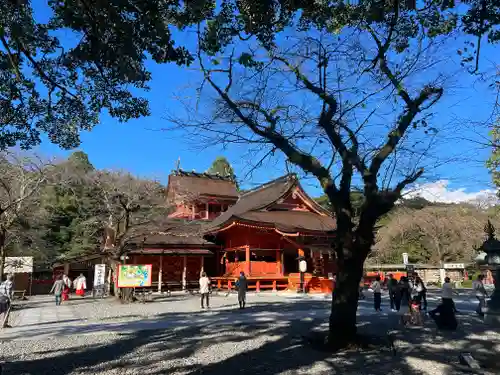 富士山本宮浅間大社の本殿