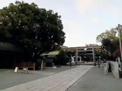 和泉國一之宮　大鳥大社(大阪府)