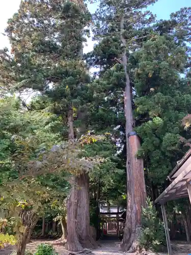 八坂神社のその他建物