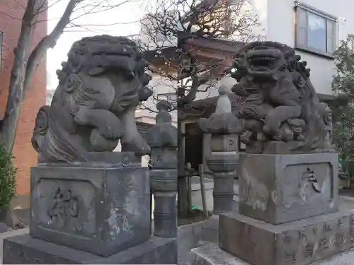 穏田神社の狛犬