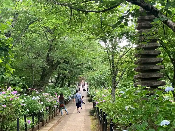 本土寺(千葉県)