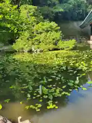 出雲大社神楽殿(島根県)