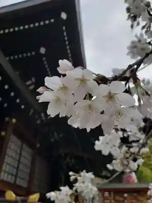 熊野神社(東京都)