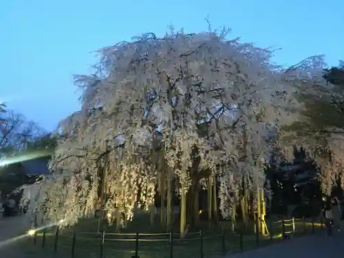 足羽神社の自然