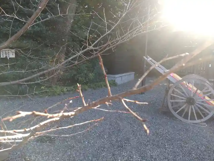 阿佐ヶ谷神明宮(東京都)