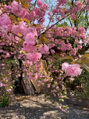 下御霊神社(京都府)