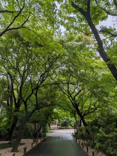 高円寺(東京都)