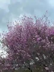 蔵王社(東京都)