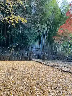 東漸寺(千葉県)