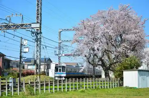 弥生神社の周辺