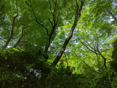 光明寺瑠璃光院(京都府)