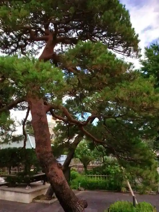 光明院(東京都)