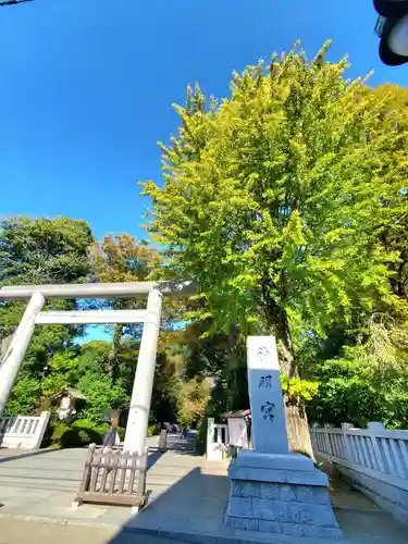 阿佐ヶ谷神明宮(東京都)