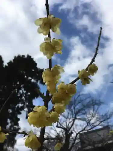 當麻寺の自然