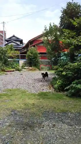 城山富士浅間神社の周辺