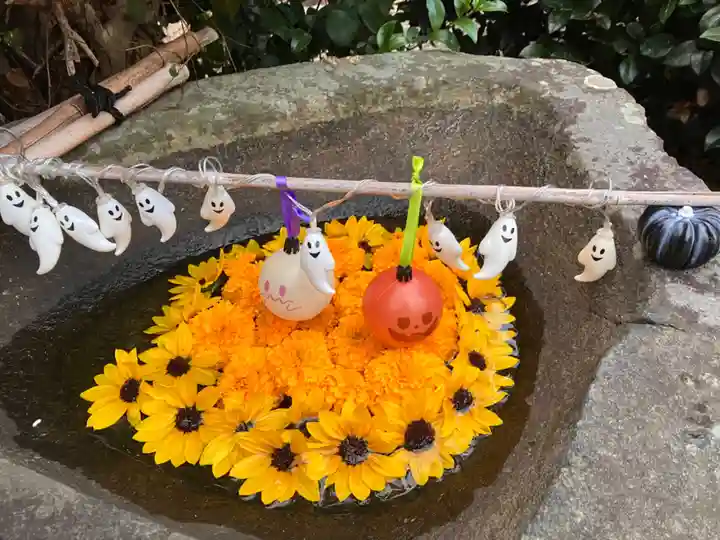 真言宗 善通寺派 薬王寺(香川県)