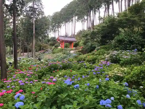 三室戸寺の庭園