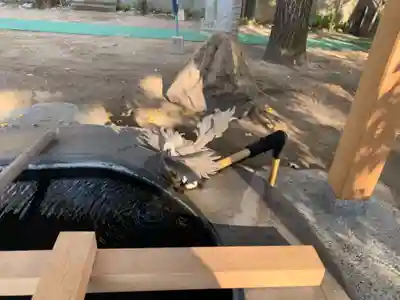 昊天宮の手水舎