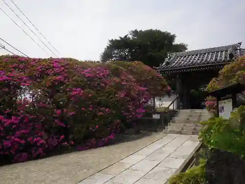 安養院　(田代寺）の山門