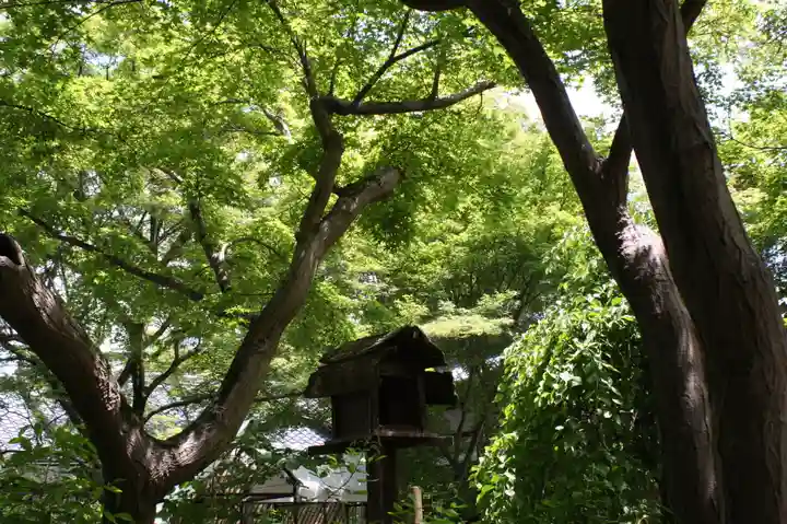 梨木神社(京都府)