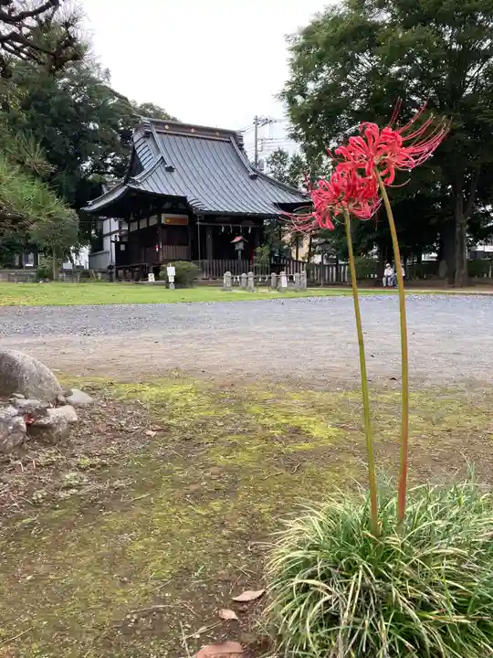 尉殿神社のその他建物