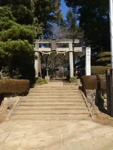 大宮住吉神社(埼玉県)