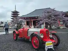 津観音の建物その他