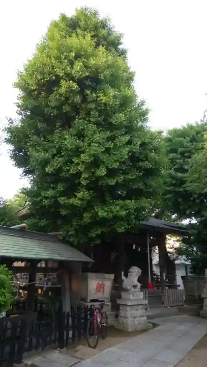 春日神社(千葉県)