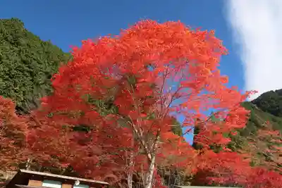 竜神神社(岐阜県)