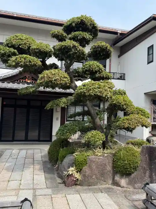 円頓寺(愛知県)